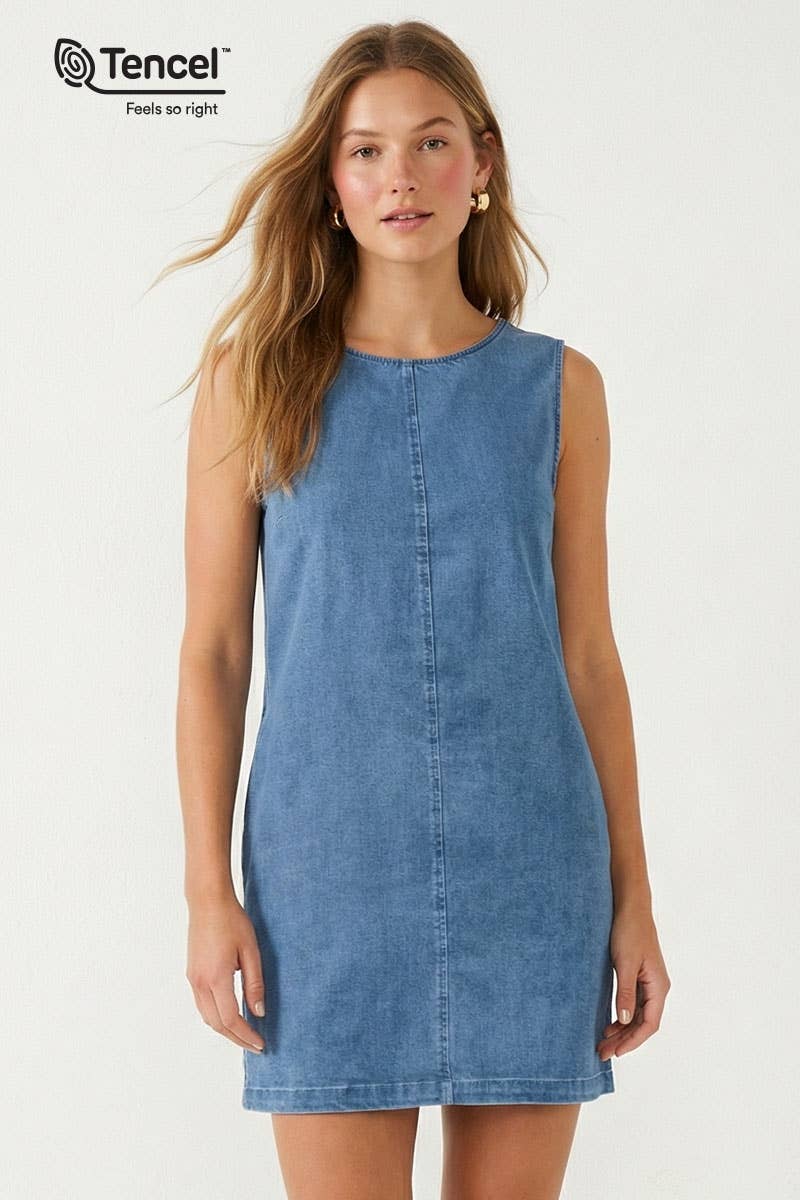 Evie Denim Mini Shift Dress